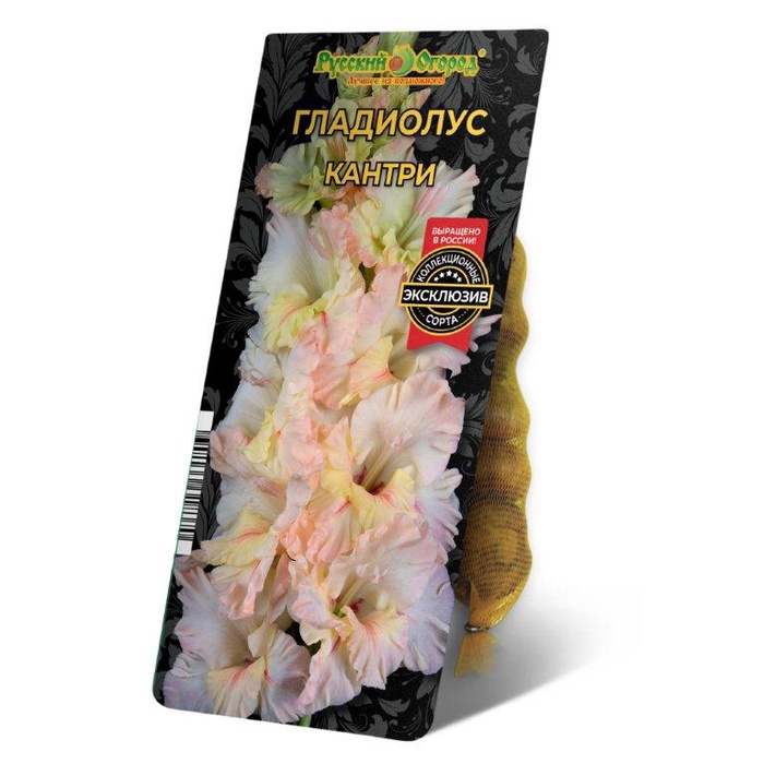 Гладиолус «Кантри», диаметр 10-12, 5 шт., Весна 2025 - Фото 1