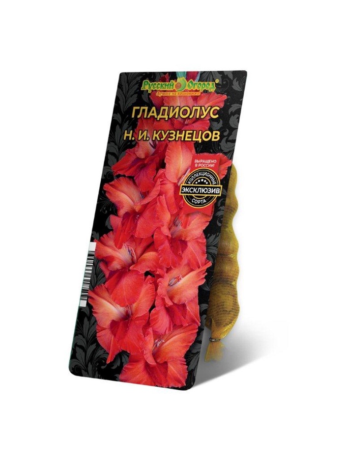 Гладиолус «Н. И. Кузнецов», диаметр 10-12, 5 шт., Весна 2025 - Фото 1