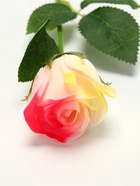 Подарочная мыльная роза, бежево-розовая - Фото 6