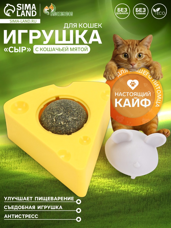 Игрушка для кошек из кошачьей мяты «Сыр» на основании, 5×4 см - Фото 1