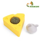 Игрушка для кошек из кошачьей мяты «Сыр» на основании, 5×4 см - Фото 2