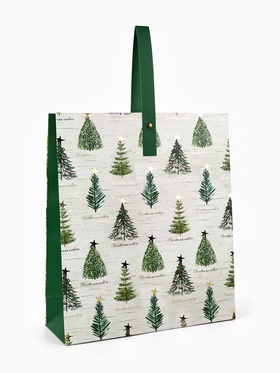 Пакет подарочный новогодний ламинированный «Новогодняя звезда», M 30×26×9 см