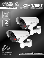 Комплект муляжей уличной видеокамеры Luazon VM-2, две камеры, с индикатором, 2хАА (не в комплекте), серый - Фото 1