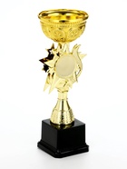 Кубок под нанесение 189, наградная фигура, золото, подставка пластик, 24.5 см - Фото 3