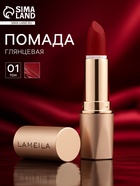 Помада для губ глянцевая, тон 01, 3.8 г - Фото 2