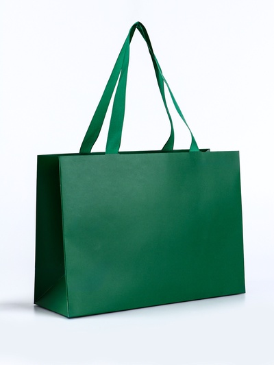 Пакет подарочный ламинированный горизонтальный «Изумрудный», 28×20×10 см