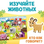 Уценка Большая книга с липучками «Изучаем животных», 130 липучек, 20 стр. - Фото 6