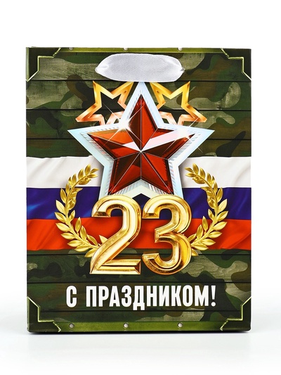 Пакет подарочный ламинированный «23 февраля», S 12×15×5.5 см