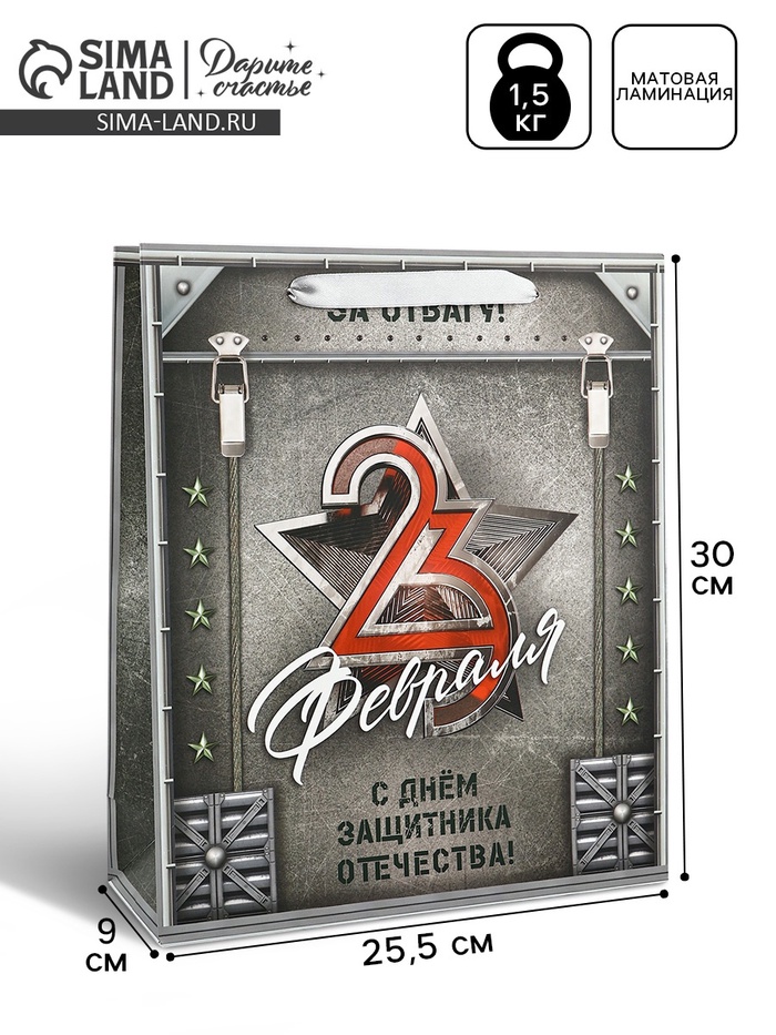 Пакет подарочный ламинированный «23 февраля», M 25.5×30×9 см - Фото 1