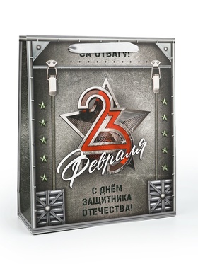 Пакет подарочный ламинированный «23 февраля», M 25.5 х 30 х 9 см (комплект 2 шт)