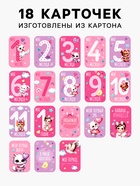 Набор карточек для фотосессии малышки, 18 шт, 8 х 12 см - фото 33754381