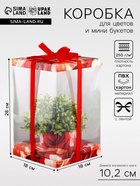 Коробка PVC, для цветов и букетов, с лентой, 28×18×18 см, красный - Фото 1