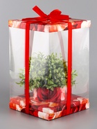 Коробка PVC, для цветов и букетов, с лентой, 28×18×18 см, красный - Фото 2