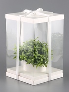 Коробка PVC, для цветов с лентой, 28×18×18 см, белый - Фото 2