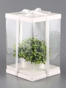 Коробка PVC, для цветов с лентой, 28×18×18 см, белый