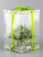 Коробка PVC, для цветов и букетов, с лентой, 28×18×18 см, зеленый - Фото 1