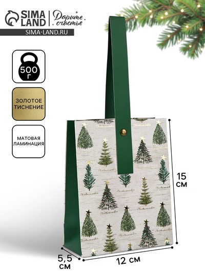 Пакет подарочный новогодний ламинированный «Новогодние мечты», S 5.5 см × 15 см × 12 см