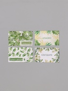 Наклейка бумага "Веточки и листья" 3х5 см 200 шт в рулоне - фото 808685024