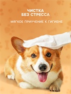 Влажные перчатки-салфетки для ежедневного ухода, 6 шт. - Фото 3