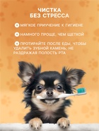 Влажные салфетки для ухода за домашними животными, для зубов, 50 шт. - Фото 3