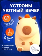 Ночник «Капи ночник», 2 режима работы, от USB - Фото 3
