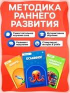 Обучающий набор с карточками, русская озвучка, 60 карточек, голубой - Фото 6