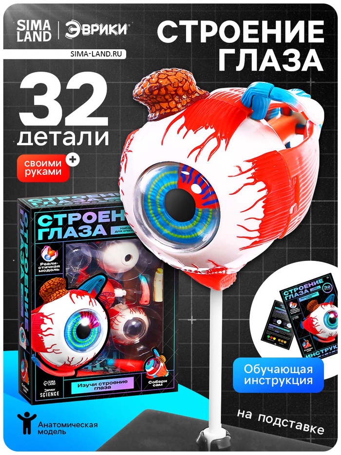 Набор для опытов «Строение глаза», анатомическая модель - Фото 1