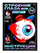 Набор для опытов «Строение глаза», анатомическая модель - Фото 9