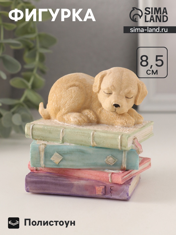 Фигурка полистоун «Щенок спит на книгах», 9×7×8.5 см - Фото 1