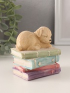 Фигурка полистоун «Щенок спит на книгах», 9×7×8.5 см - Фото 3