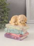 Фигурка полистоун «Щенок спит на книгах», 9×7×8.5 см - Фото 4