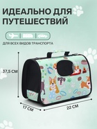 Сумка - переноска для животных «Верный друг», размер S, 37.5×17×22 см, каркасная - Фото 2