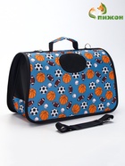 Сумка - переноска для животных «Спорт», размер L, 53×21×29 см, голубая - Фото 4