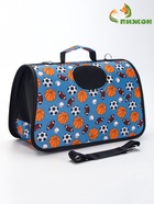 Сумка - переноска для животных «Спорт», размер M, 40×21×27 см, голубая - Фото 4