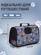 Сумка - переноска для животных «Спорт», размер S, 37.5×17×22 см, голубая - Фото 2