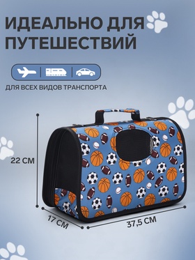 Сумка - переноска для животных «Спорт», размер S, 37.5×17×22 см, голубая