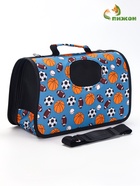 Сумка - переноска для животных «Спорт», размер S, 37.5×17×22 см, голубая - Фото 4