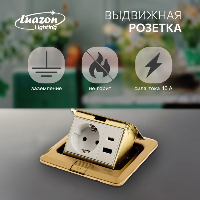 Розетка выдвижная, 16 А, одноместная, USB + Type-C, золотистая - Фото 1