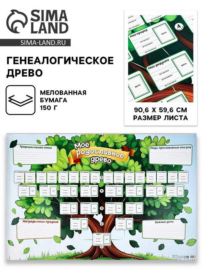 Генеалогическое древо «Моё родословное древо», 90.6×59.6 см
