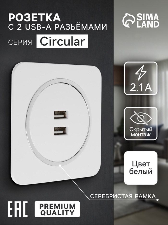 Розетка с 2 USB-A разъёмами, 2.1 А, 5 В, серия Circular, скрытый монтаж, серебристая рамка - Фото 1