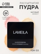 Пудра рассыпчатая LAMEILA тон 3 - Фото 1