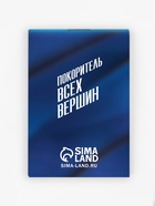 Подарочный набор «С праздником настоящих мужчин», блокнот, карандаши 2 шт., ч/г, значок-дерево - Фото 3