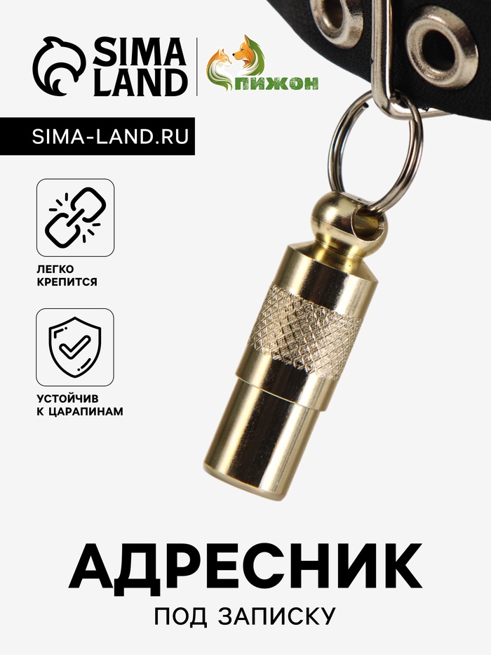 Адресник-капсула под записку, 0,9 х 2,75 см, золотой