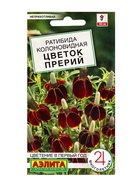 Семена цветов Ратибида "Цветок Прерий", колоновидная, 0,1 г - фото 322478919