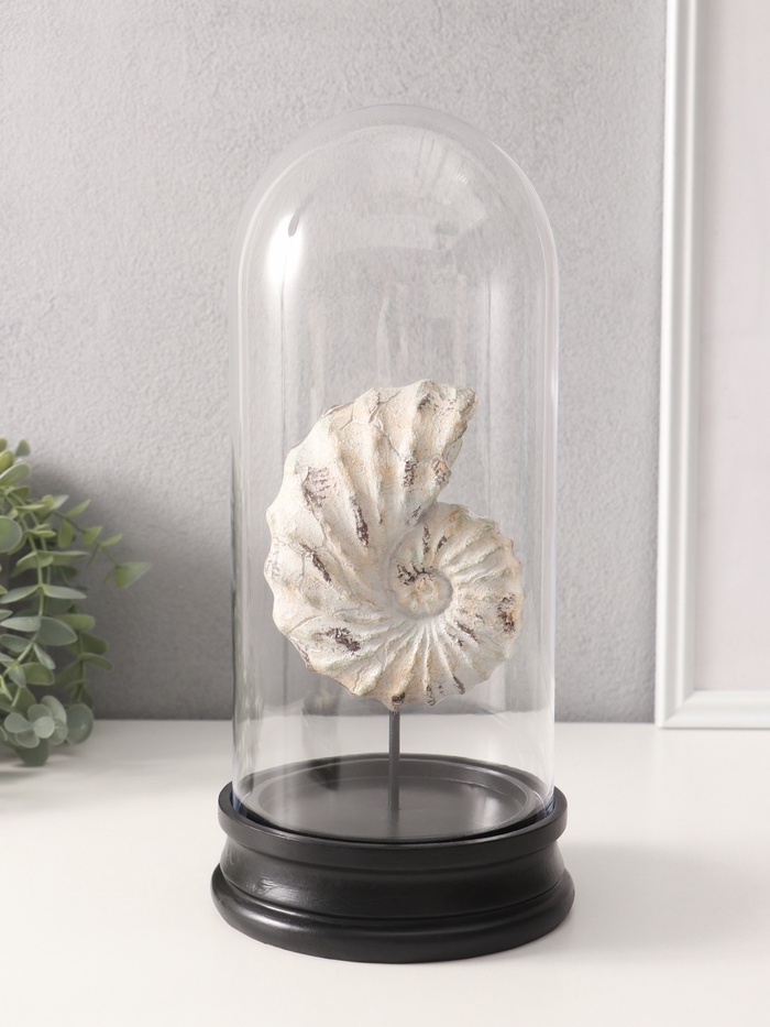 Фигурка в колбе «Ракушка плоскоспиральная», полистоун, 14×14×30 см - Фото 1