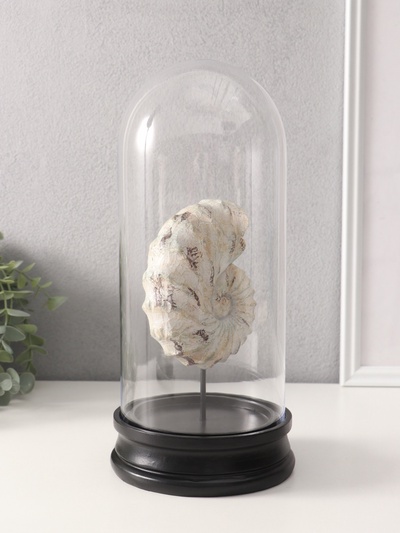 Фигурка в колбе «Ракушка плоскоспиральная», полистоун, 14×14×30 см