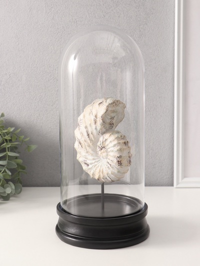 Фигурка в колбе «Ракушка плоскоспиральная», полистоун, 14×14×30 см