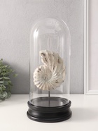 Фигурка в колбе «Ракушка плоскоспиральная», полистоун, 14×14×30 см - Фото 4