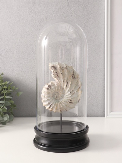 Фигурка в колбе «Ракушка плоскоспиральная», полистоун, 14×14×30 см