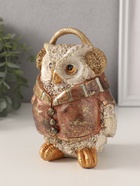 Фигурка полистоун «Сова в куртке и наушниках», 11×11×16.5 см - Фото 4